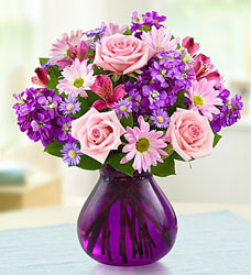 Lavender Dreams Davenport Florist - Same Day Flower Delivery - Flower Power 
